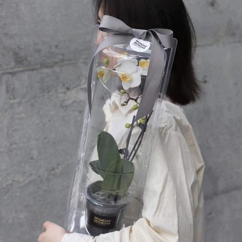 工艺礼品吸塑包装
